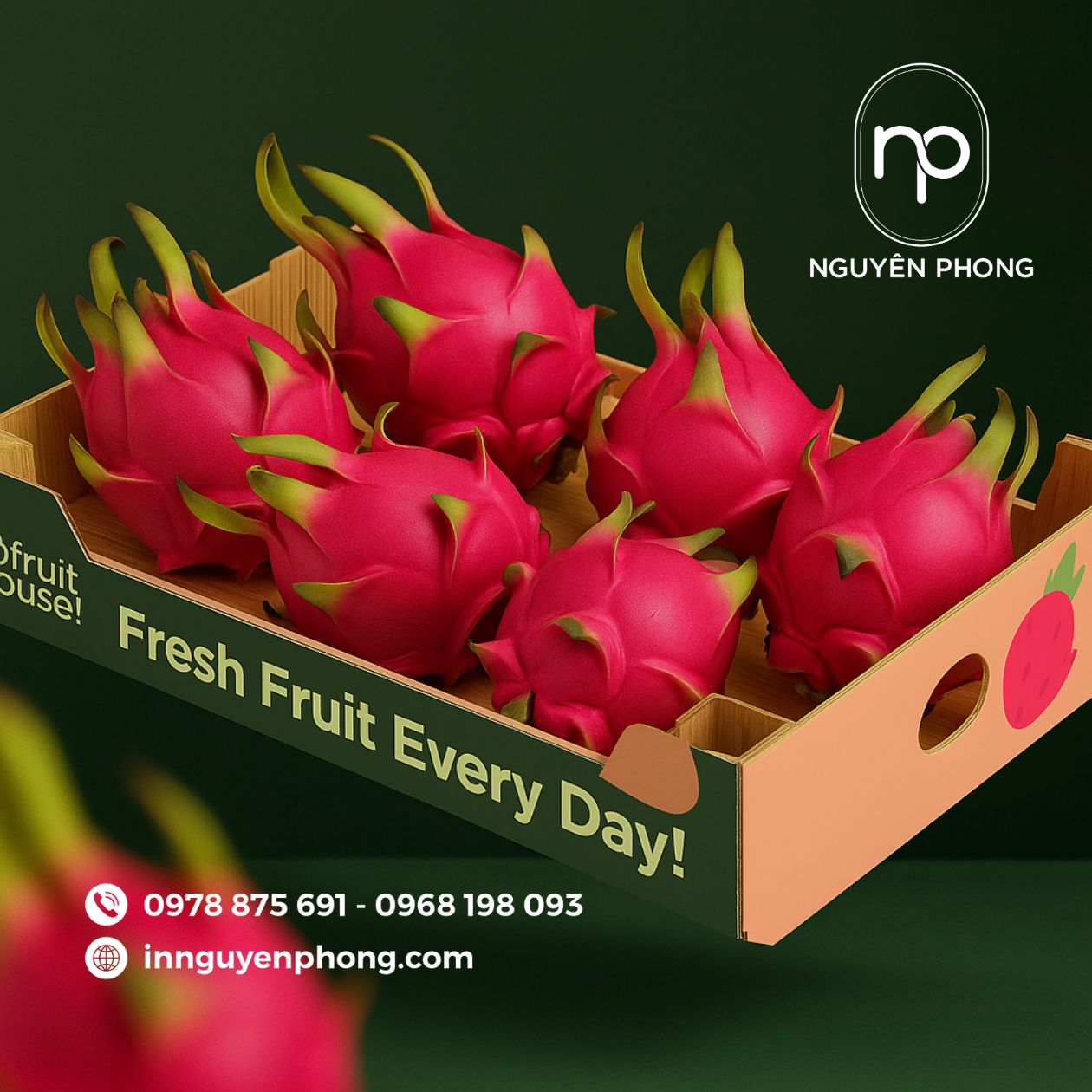 In thùng carton đựng thanh long chất lượng, giá tốt